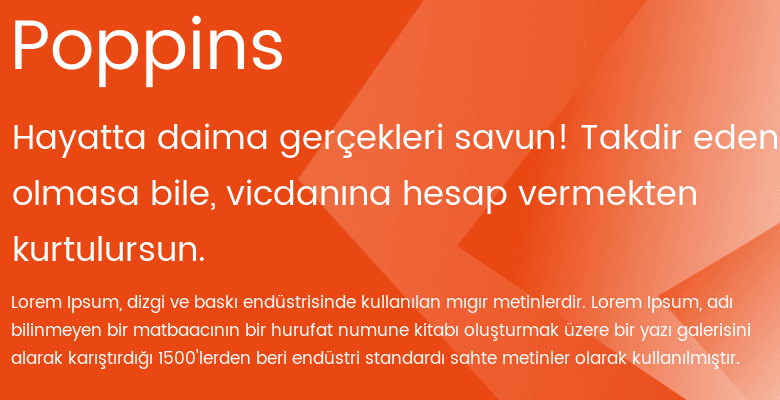 best web fonts