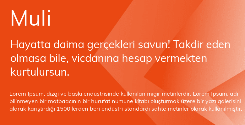 best web fonts