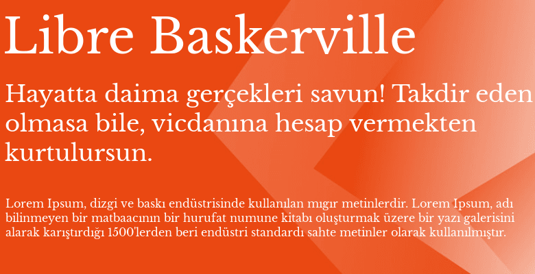 best web fonts