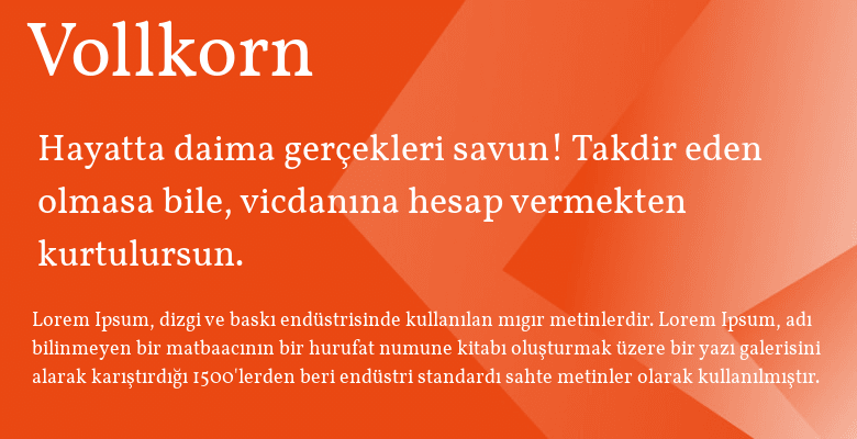 best web fonts