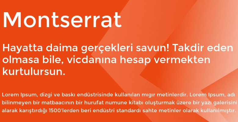 best web fonts