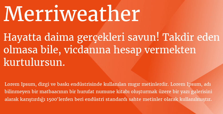 best web fonts