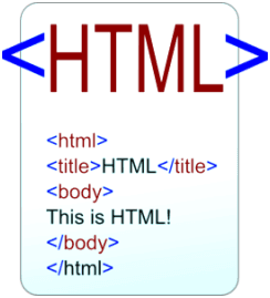 world wide web