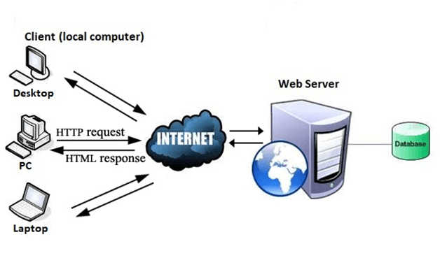 world wide web